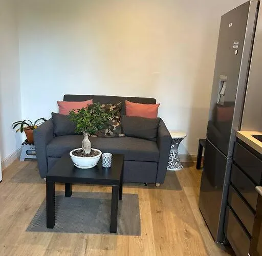 Centre Terrasse 3 Pieces 101 דירה לה הוואלד